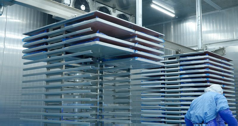 Freeze-Drying Trays Freeze-Drying Trays